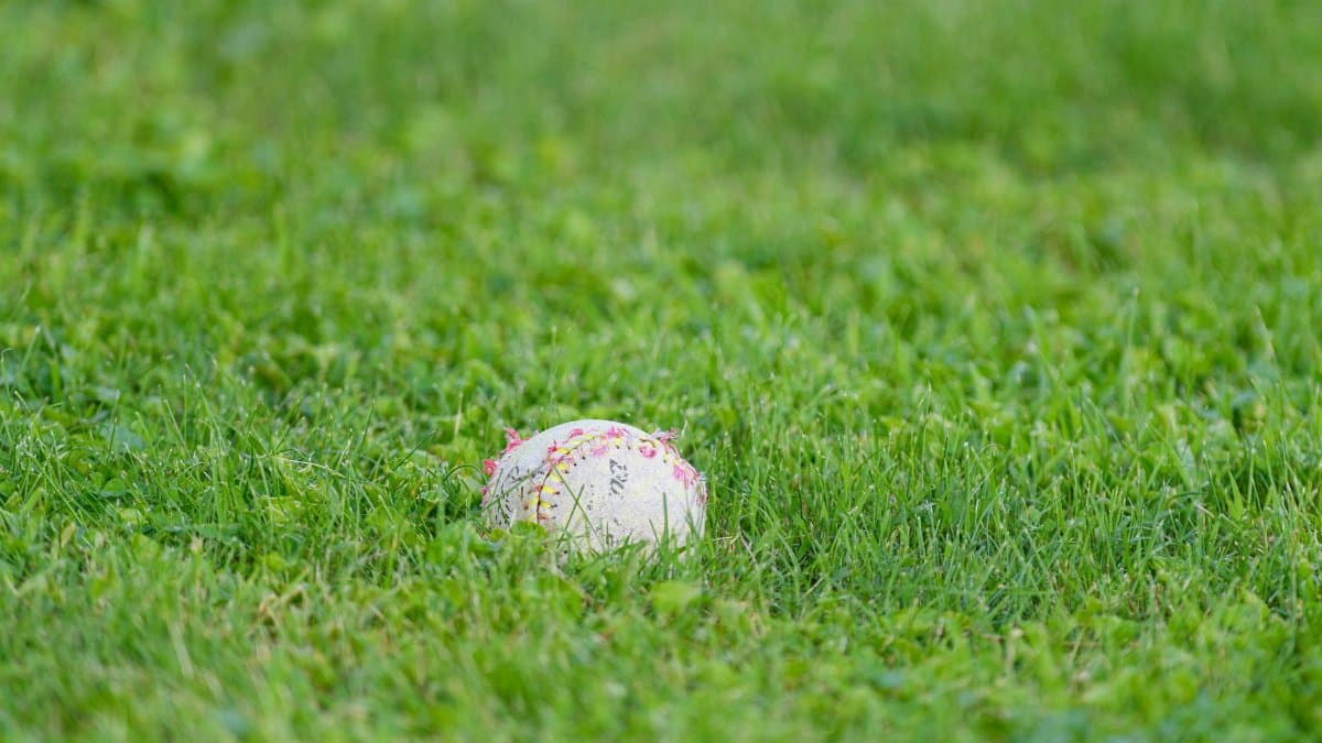 Worn cricket ball resting on a lush green grass field, ideal for sports theme.
