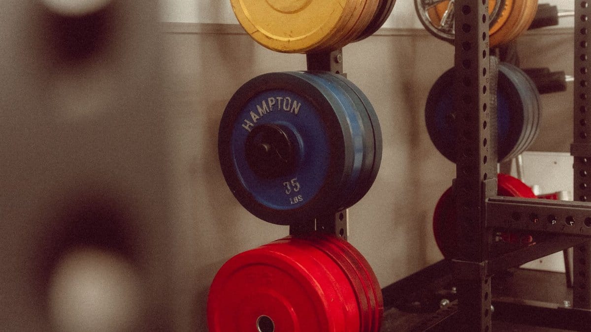 A vibrant array of weight plates in a gym setting, perfect for fitness-focused projects.