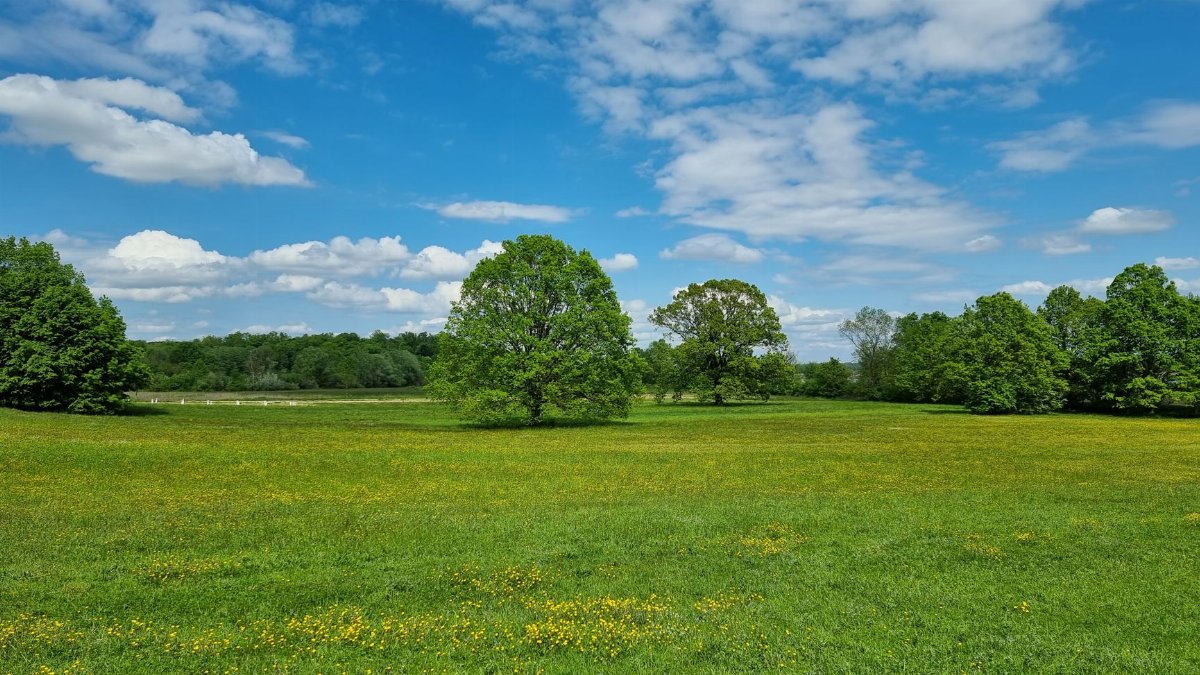 Peaceful summer meadow in Kaniška Iva, Croatia with vibrant trees and a blue sky.