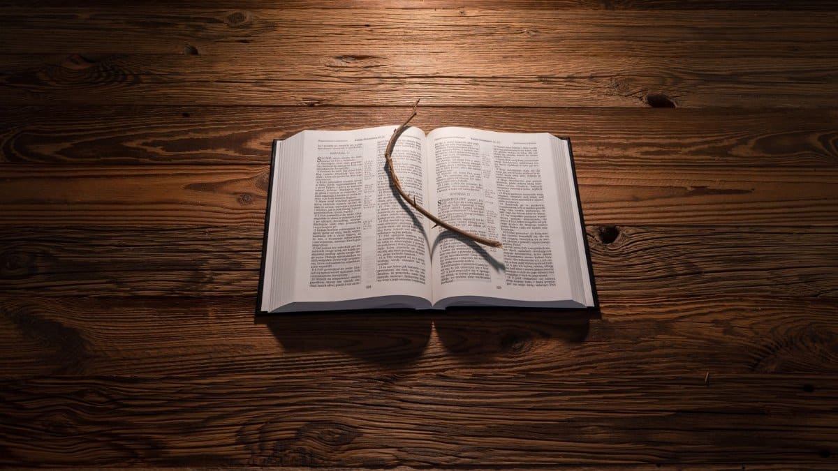 An open Bible resting on a wooden table with a stick placed on its pages, illuminated by warm light.
