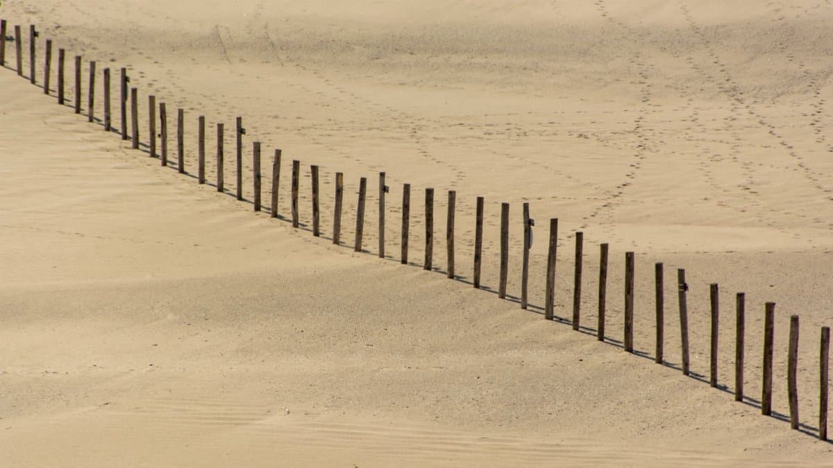 A serene beachfront with wooden stakes forming a diagonal pattern on the sandy dunes.