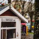 A close-up of a Little Free Library in a peaceful urban park with trees in the background.