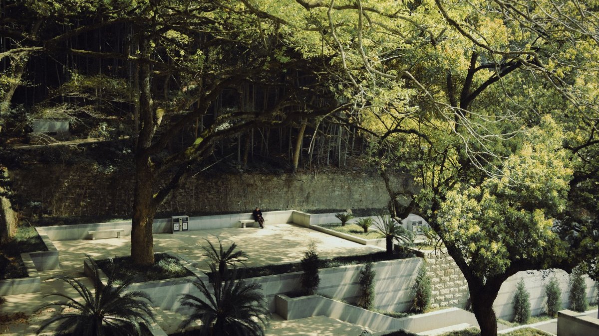 Tranquil urban park scene with lush trees and seating, perfect for relaxation during spring.