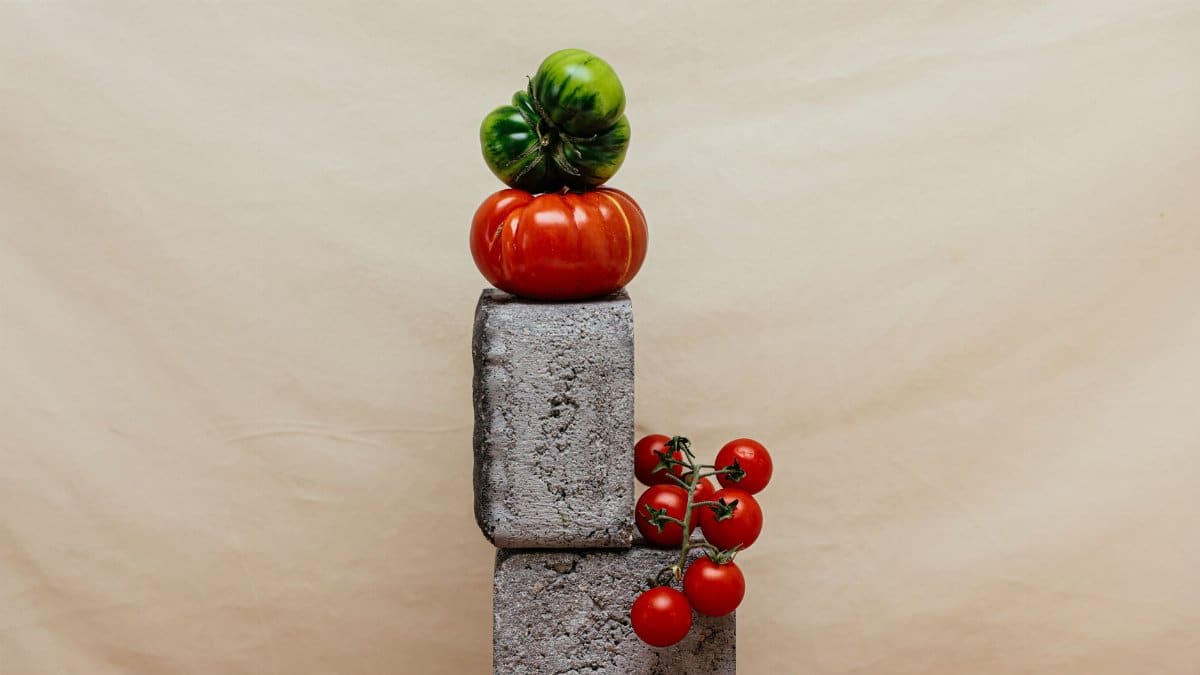Creative arrangement of organic tomatoes on concrete blocks in a studio setting.