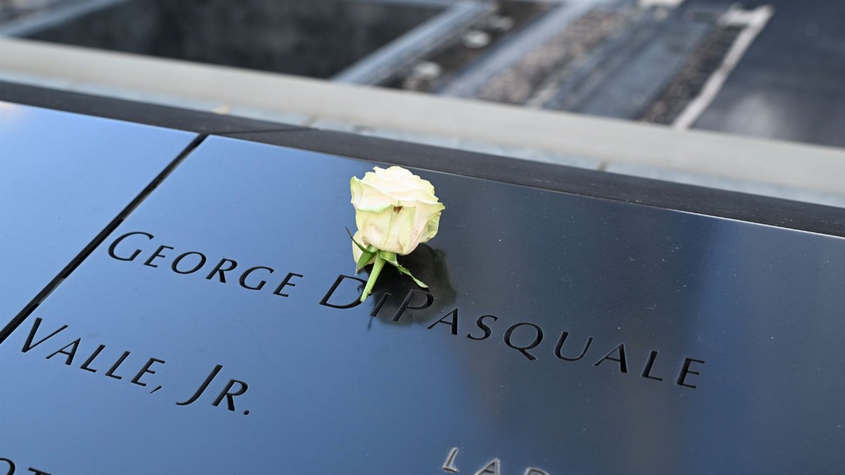 White rose on a name at the 9/11 Memorial, symbolizing remembrance and honor.