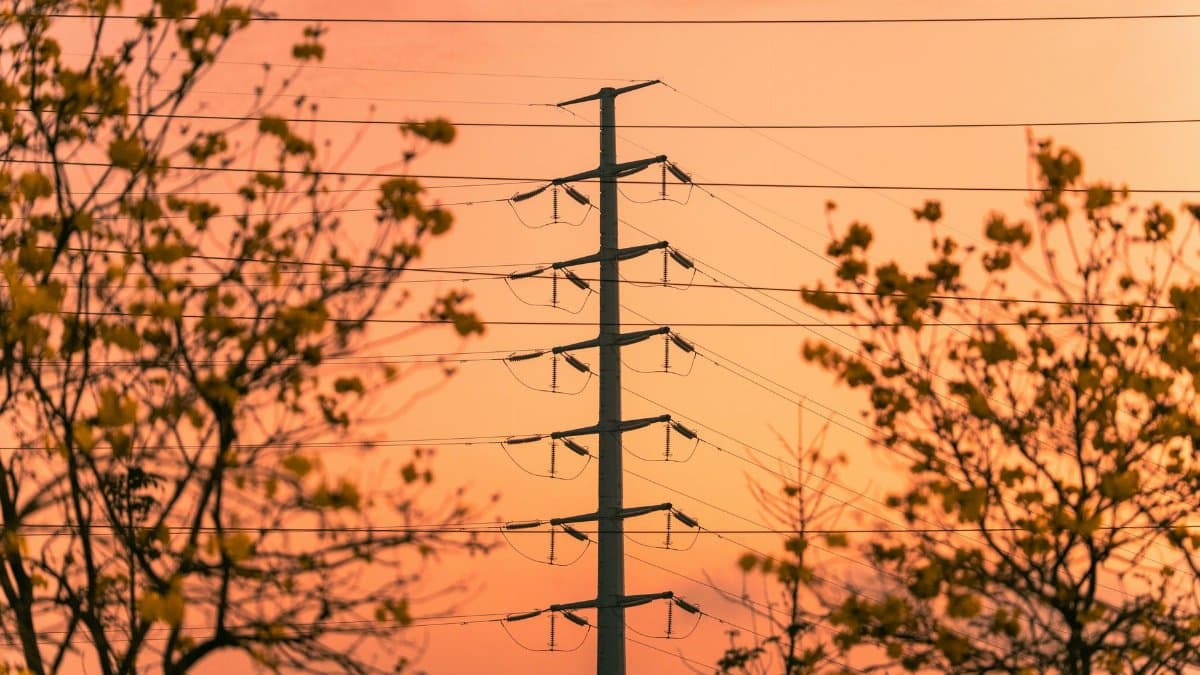 Silhouette of power lines and trees against a vibrant sunset in Hà Nội, Việt Nam.