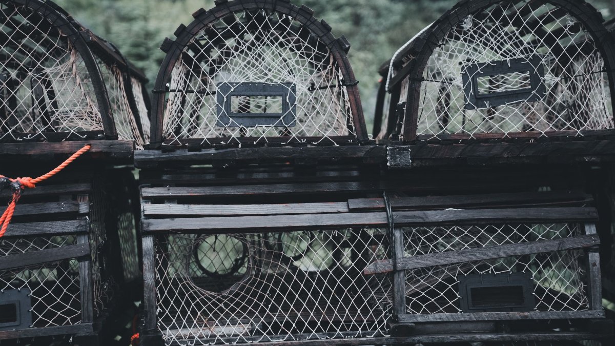 A moody scene of stacked lobster traps with netting, perfect for marine themes.