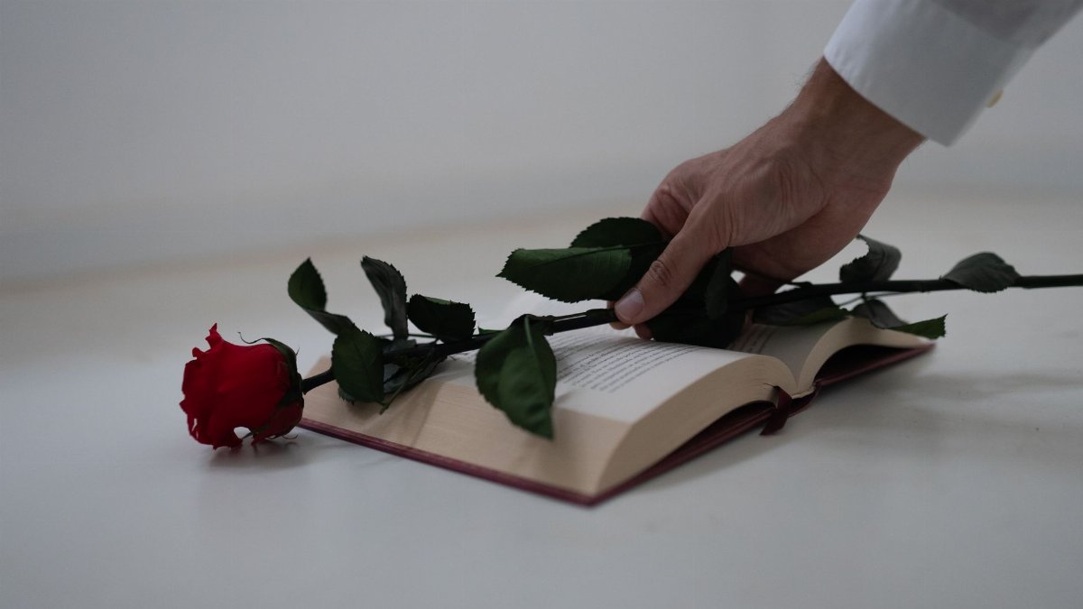A red rose delicately placed on an open book, symbolizing romance and literature.