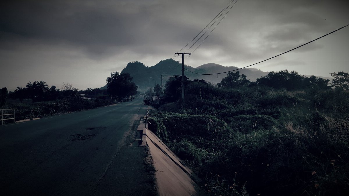 Scenic view of a mountain road at dusk with cable wires and dense foliage.