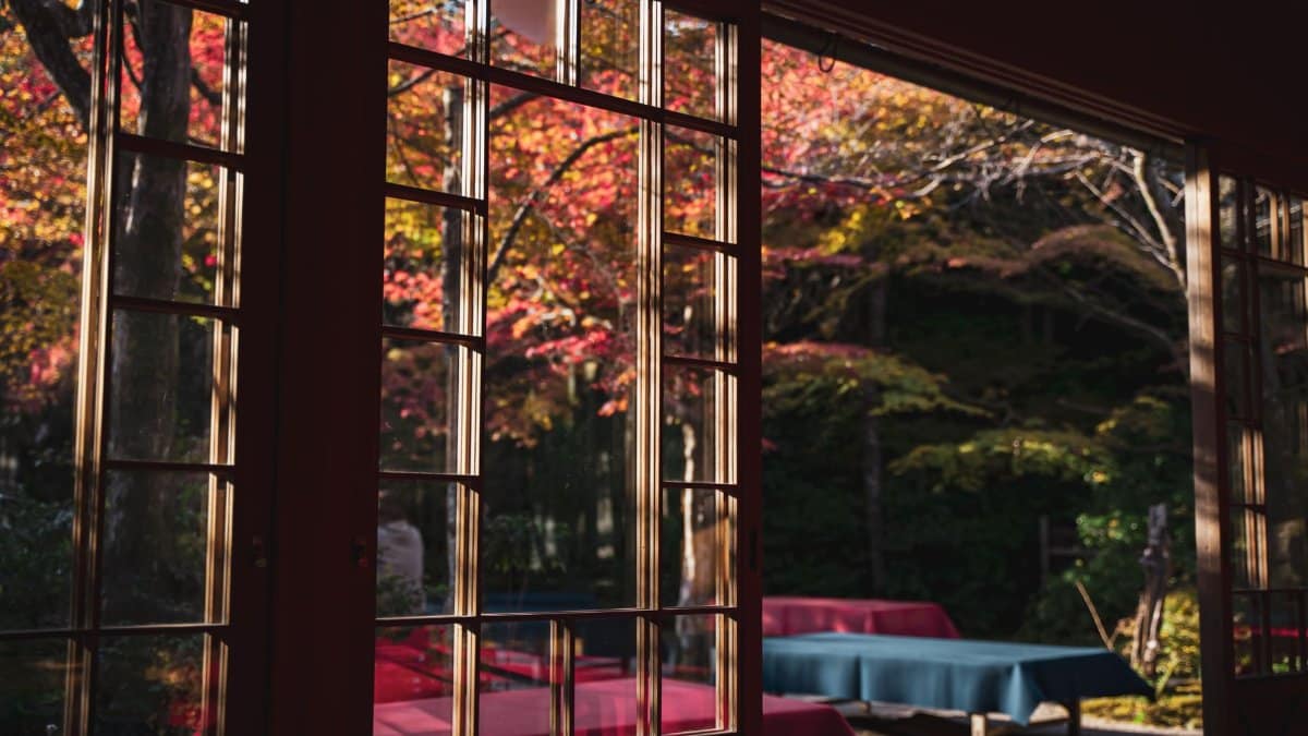 Stunning autumn view from indoors showing a Japanese garden through vintage patio doors in Kyoto.