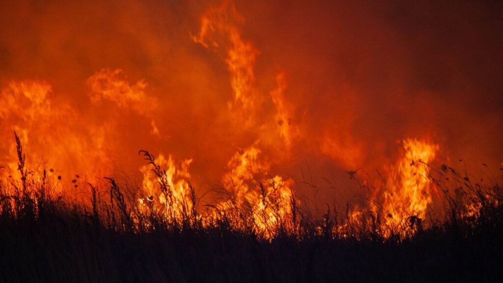 Dramatic scene of a fierce grassland fire blazing at night, showcasing vibrant flames and heat.