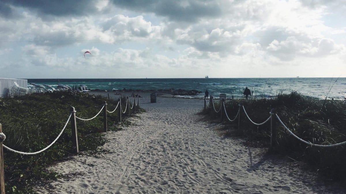 Fenced sandy pathway with footprints between grass near endless ocean under cloudy sky in evening
