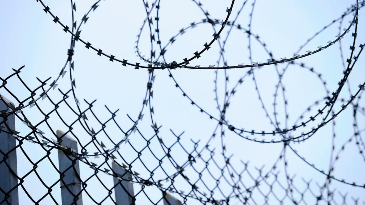 Close-up of barbed wire and chain-link fence for security and protection.
