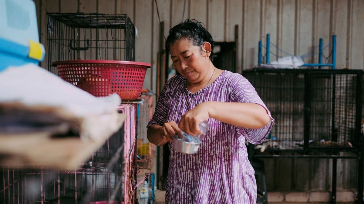 A woman feeding animals in an indoor shelter with several cages around.