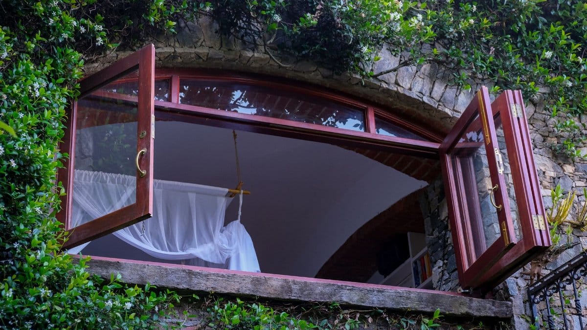 An open window framed by lush ivy on a stone wall, inviting fresh air and nature indoors.
