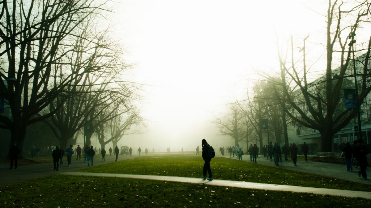 People walking through a foggy park in Vancouver, creating a moody autumn atmosphere.