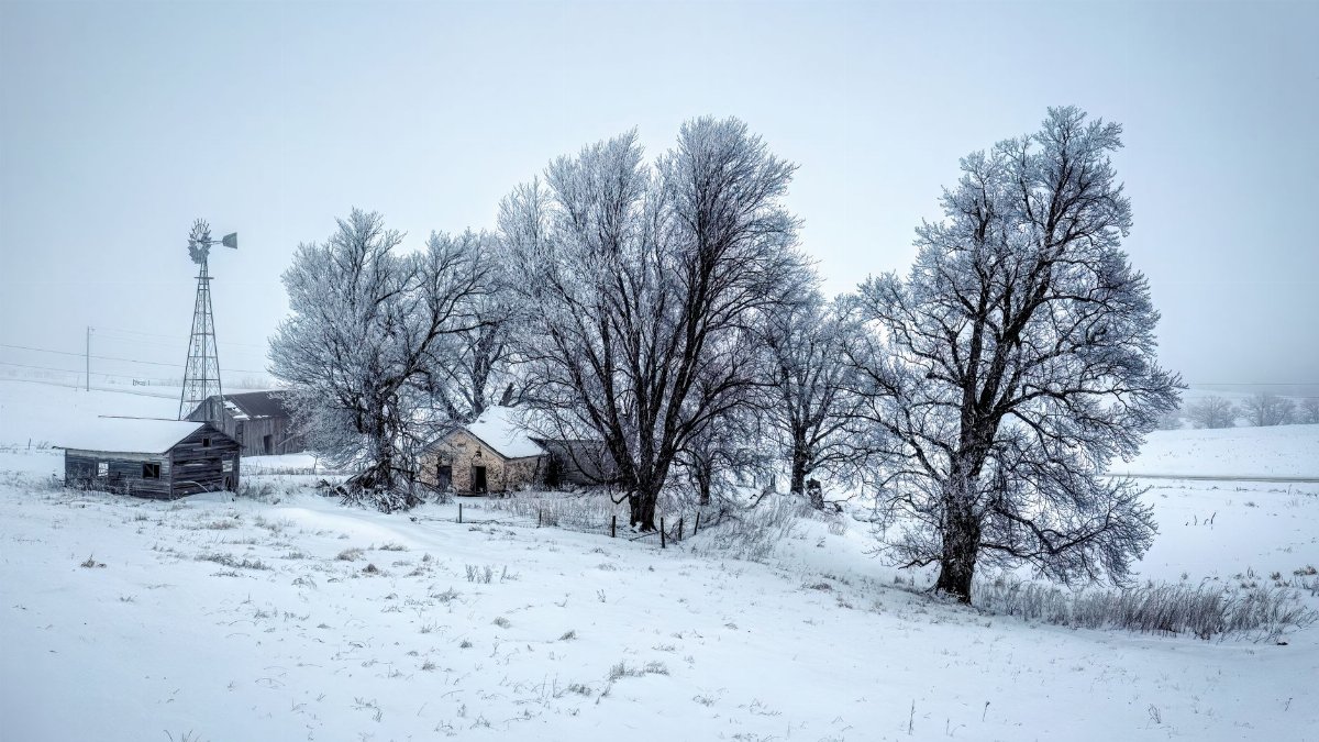 A serene winter farm scene in Minnesota featuring snow-covered trees and a windmill.