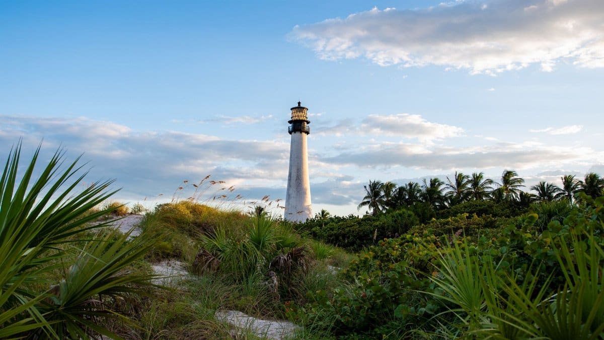 Scenic view of Cape Florida Lighthouse surrounded by lush greenery under a blue sky.