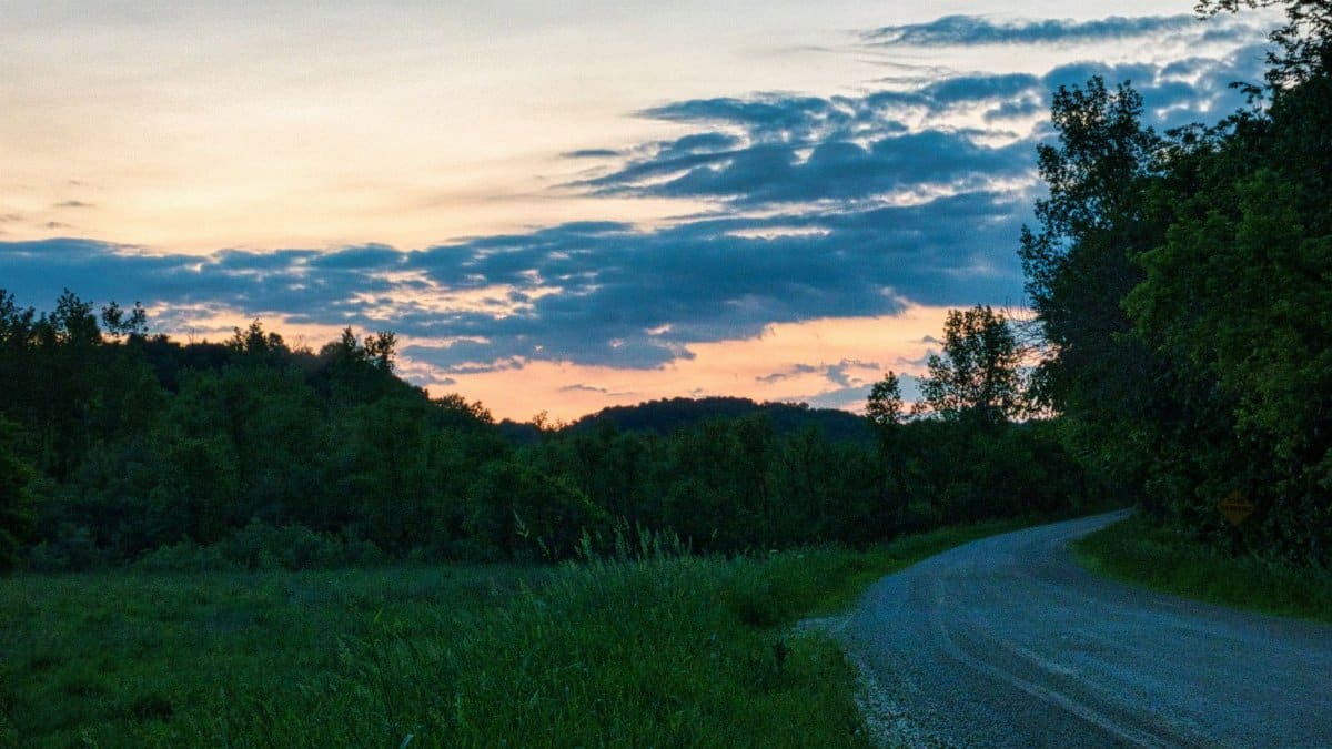 A serene sunset paints the sky over a winding rural dirt road in Minnesota.