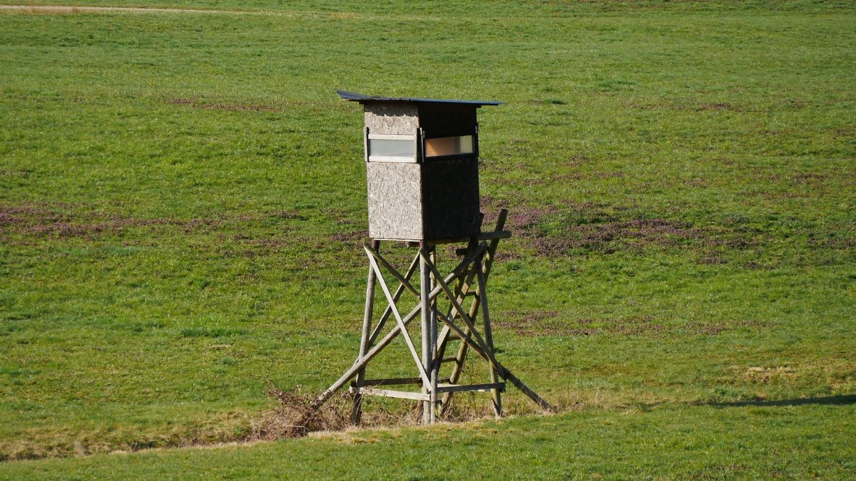 Wooden hunting stand overlooking a vast green field, ideal for wildlife observation.