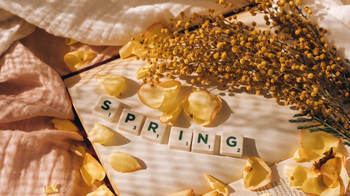 Flat lay of Scrabble tiles, yellow petals, and mimosa for a spring theme.