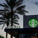Starbucks café exterior with palm trees at dusk in Orlando, Florida.