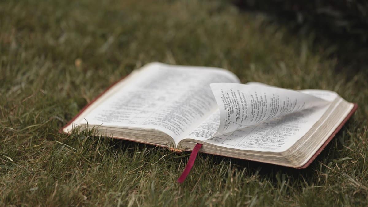 An open Bible on grassy ground, symbolizing spirituality and nature. Ideal for religious themes.