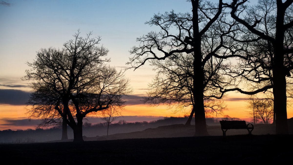 Tranquil dawn scene with silhouetted trees and a bench against a vibrant sunrise.