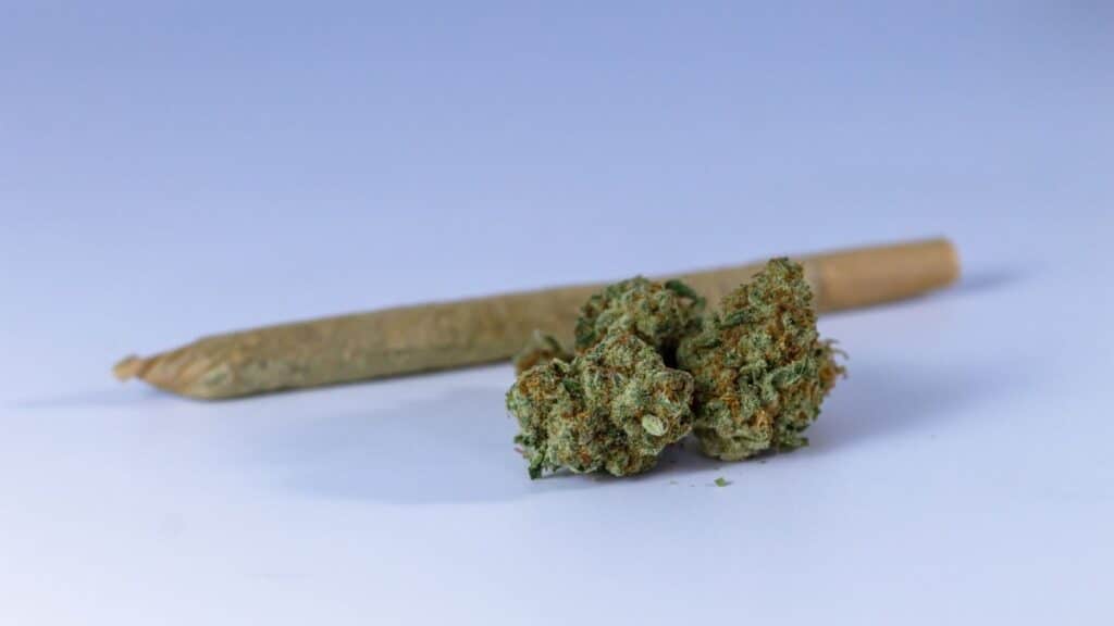 A close-up image of a cannabis joint and buds set against a neutral background, perfect for illustrating marijuana-related topics.