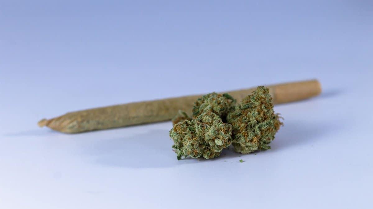 A close-up image of a cannabis joint and buds set against a neutral background, perfect for illustrating marijuana-related topics.