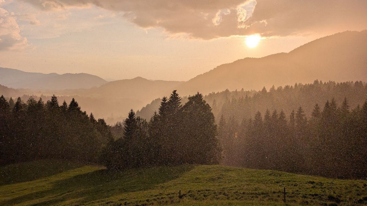Sunlight breaks through clouds over misty mountains and coniferous forests in Austria during a summer rain.
