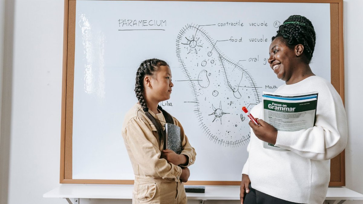 Side view of smiling African American female teacher holding textbooks while communicating with Asian teenage girl after lesson