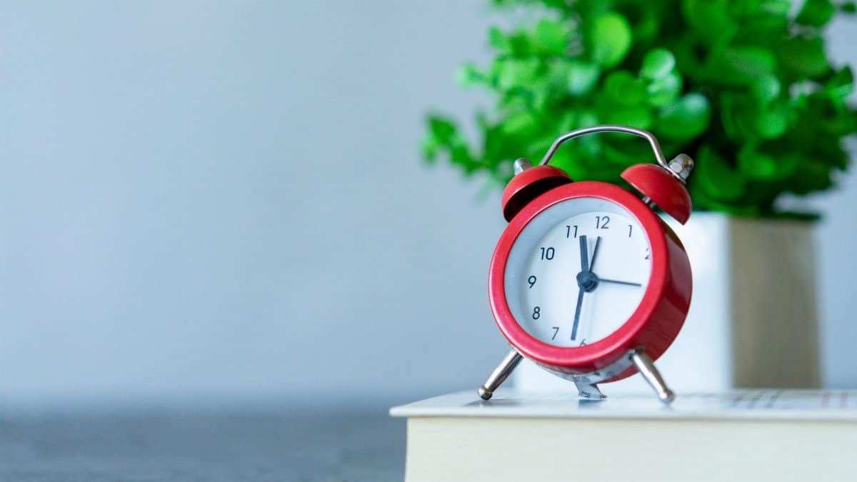 Image of a red alarm clock on a book with a green plant in the background.