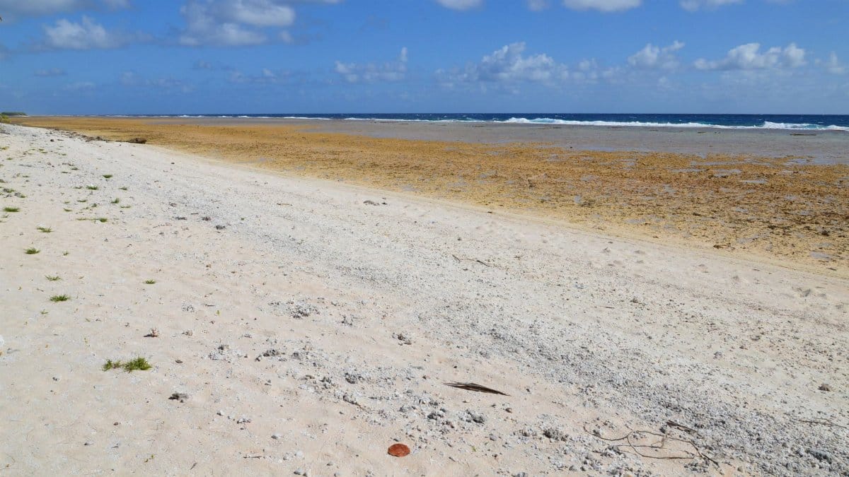 Serene beach scene with clear sky, sandy shore, and gentle ocean waves.