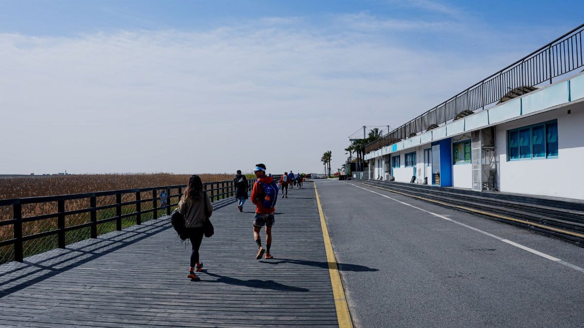 A group of people walking on a sunny boardwalk with a building and sky background, showcasing leisure and outdoor activity.