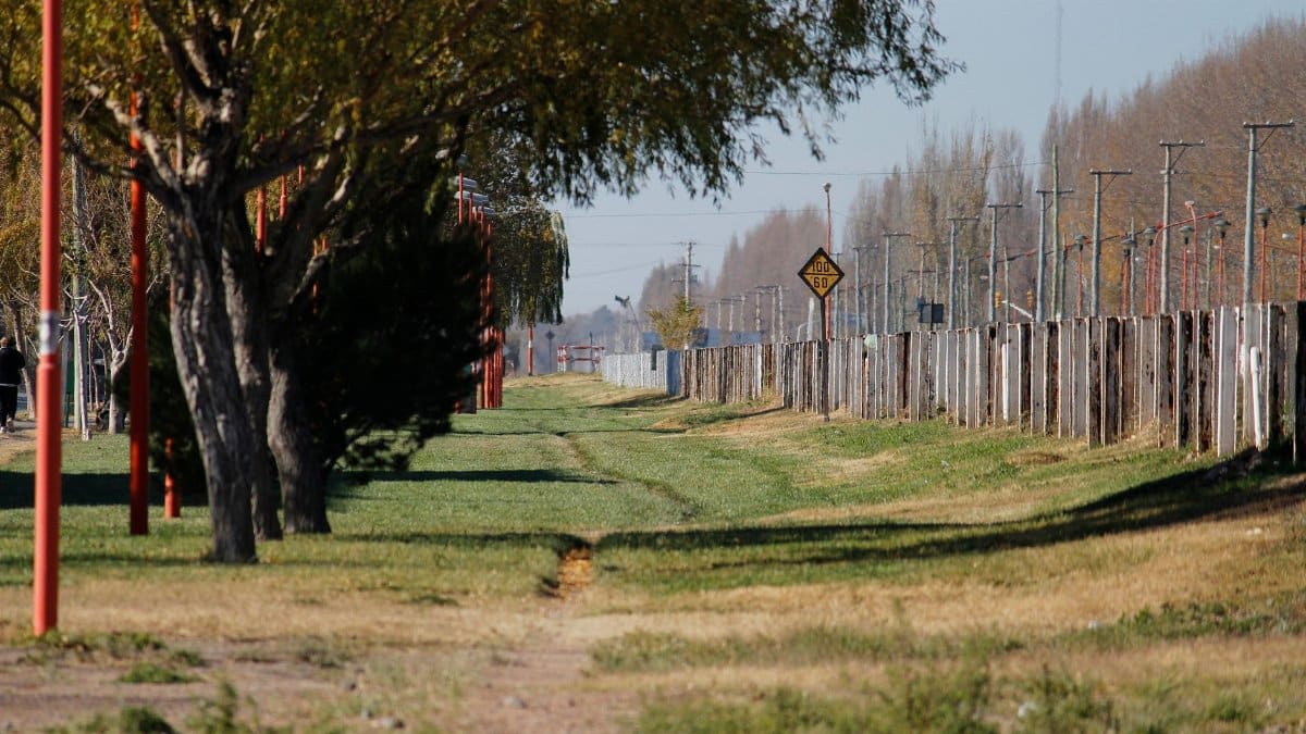 Tranquil park scene with trees lining a pathway, metal fence, and clear blue sky in the background.