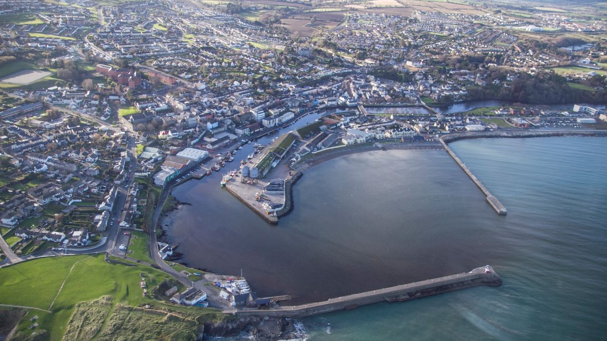 A stunning aerial view captures Wicklow's coastal town and harbor, showcasing the scenic coastline.