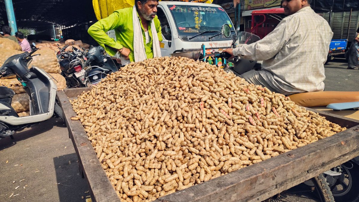 Vibrant scene of a peanut seller in Indore, India, capturing cultural lifestyle and market atmosphere.