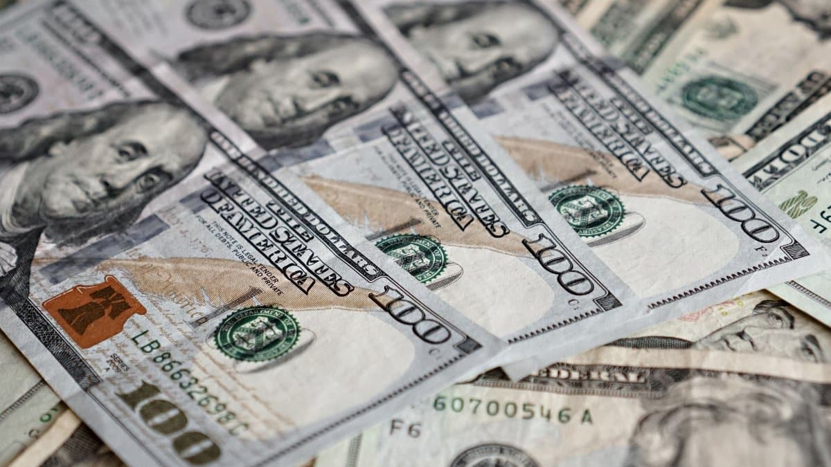 High-resolution image depicting a variety of US dollar bills, showcasing currency details.