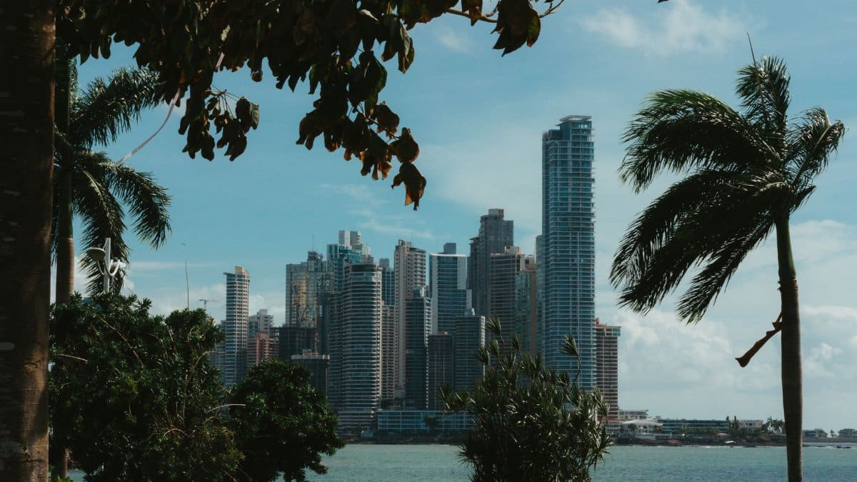 View of Panama City's skyline through lush trees, featuring tall skyscrapers under a blue sky.