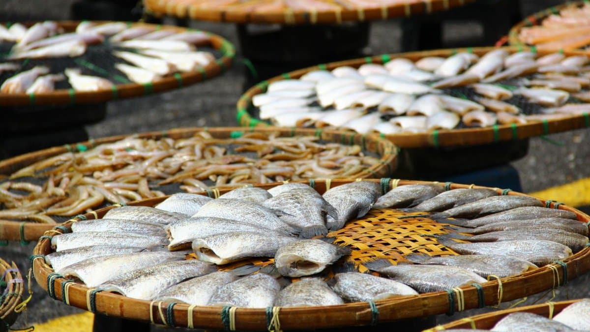 Fish and shrimp drying outdoors in traditional wicker baskets, capturing a slice of local life.