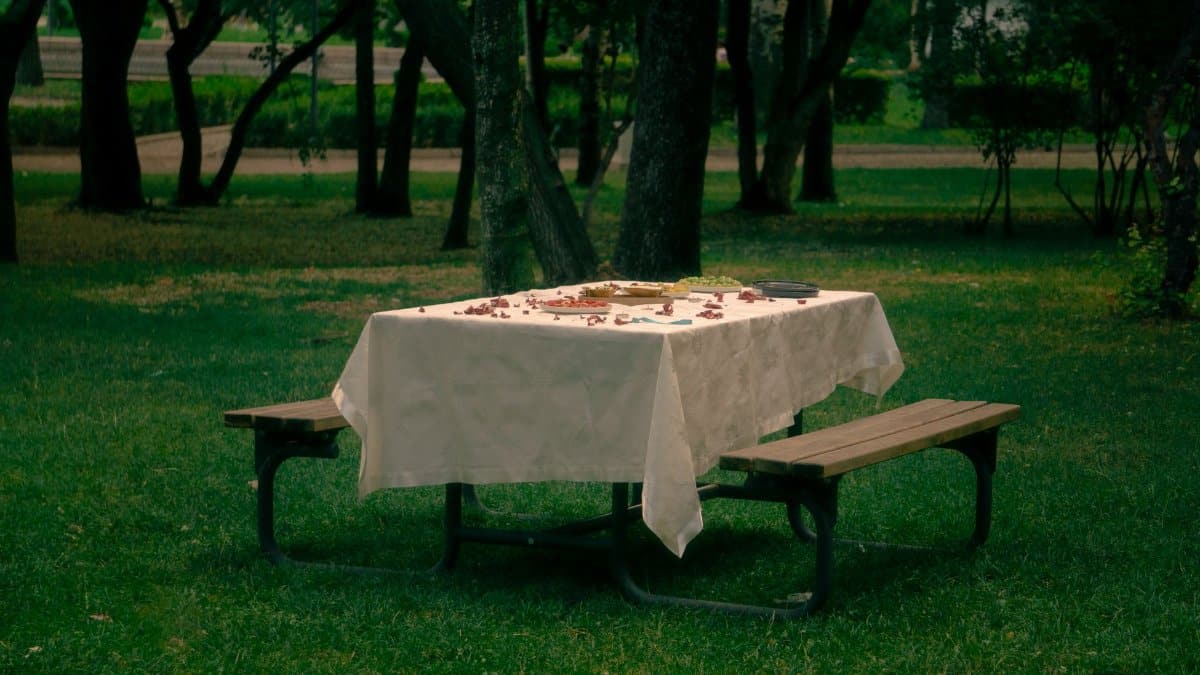 A serene picnic spot with table amidst lush greenery in Ankara, Türkiye.