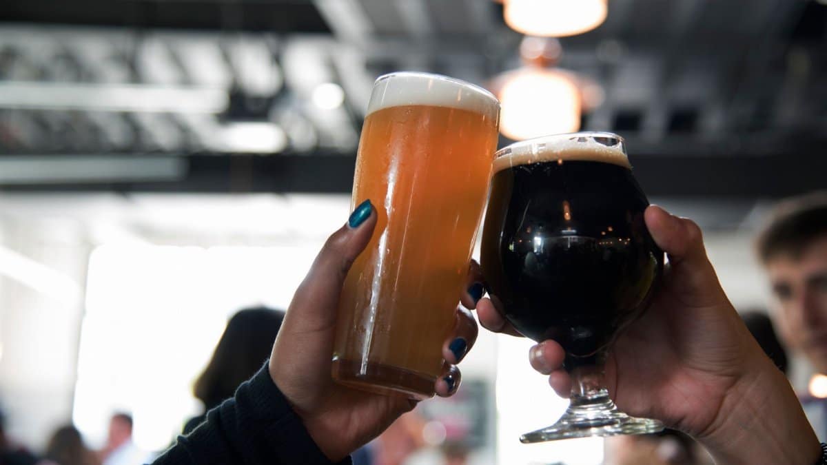 Two hands clink glasses of different craft beers, capturing a celebratory moment in a modern bar.