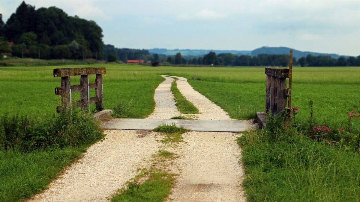 Tranquil rural path traverses lush green fields. A perfect nature escape.