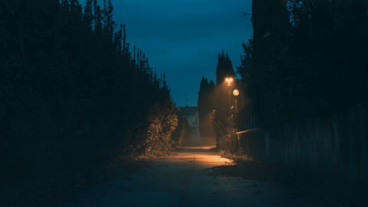 Eerie foggy street at night with dimly lit lamp post casting shadows.