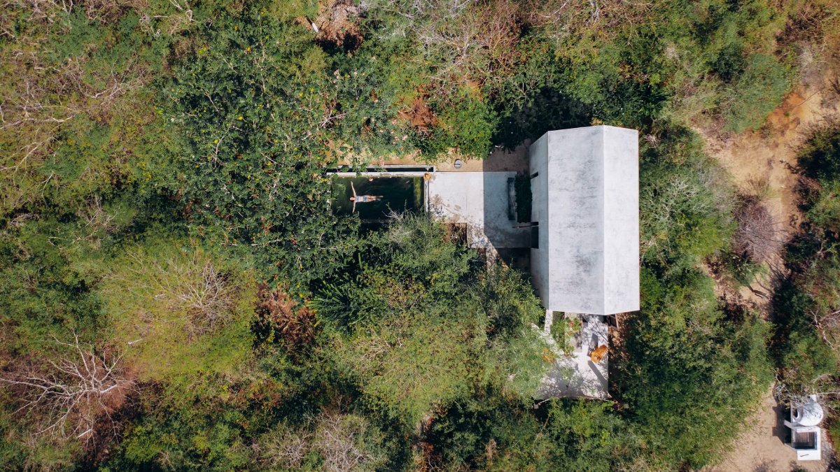 Aerial view of a house surrounded by lush forest, showcasing a seamless blend with nature.