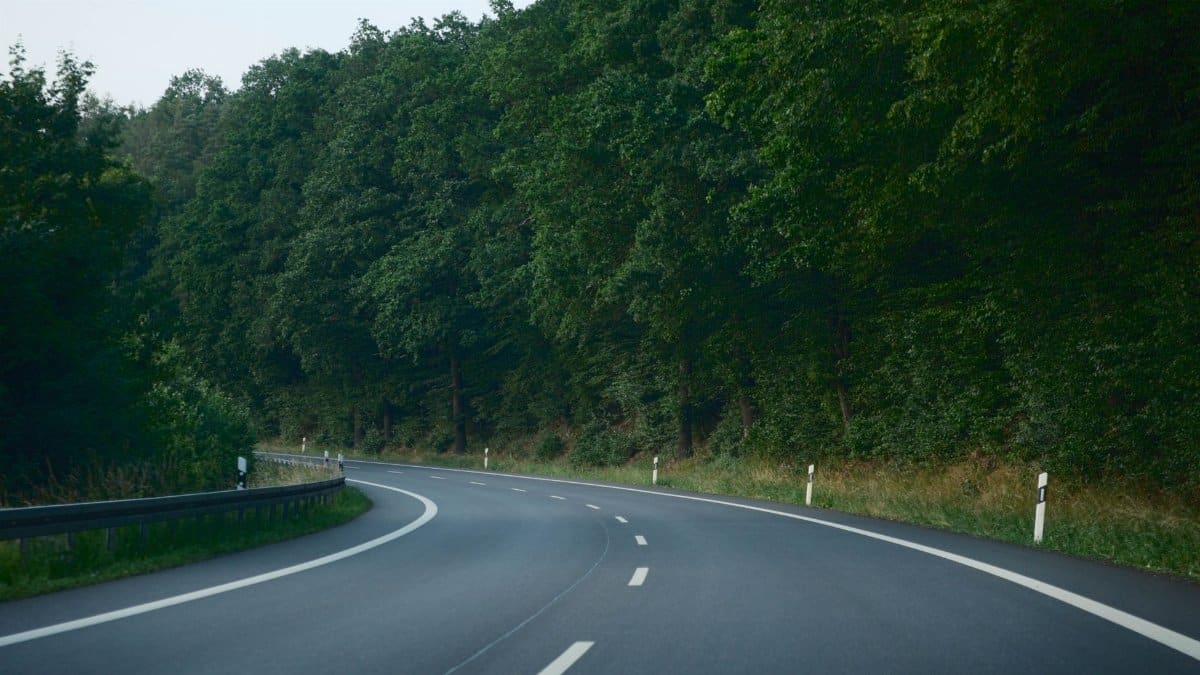 A tranquil highway curves through a dense forest, creating a calm and inviting drive.