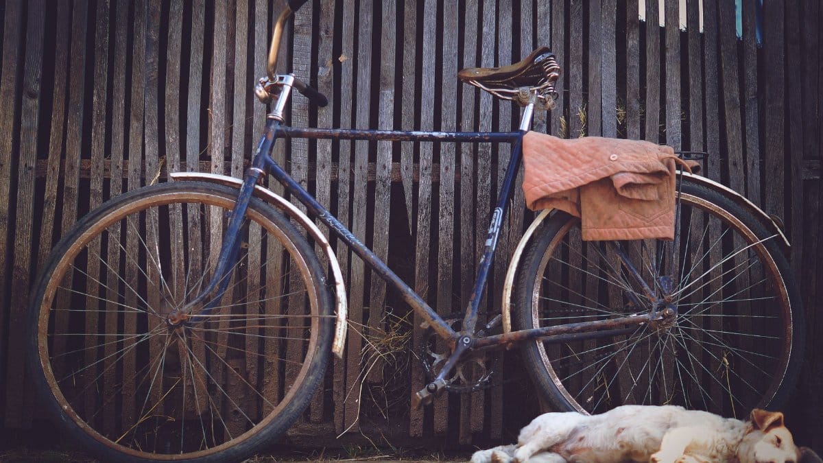 A vintage bicycle resting against a rustic wooden fence with a sleeping dog at its base.