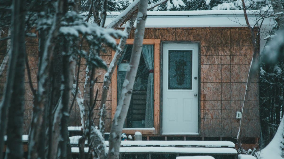 Exterior of small old house with opened door placed among snowy trees winter forest in countryside in daytime