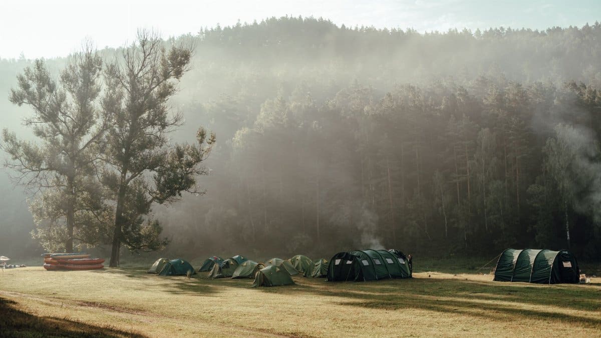 A serene campsite with tents in a misty forest clearing in Russia.